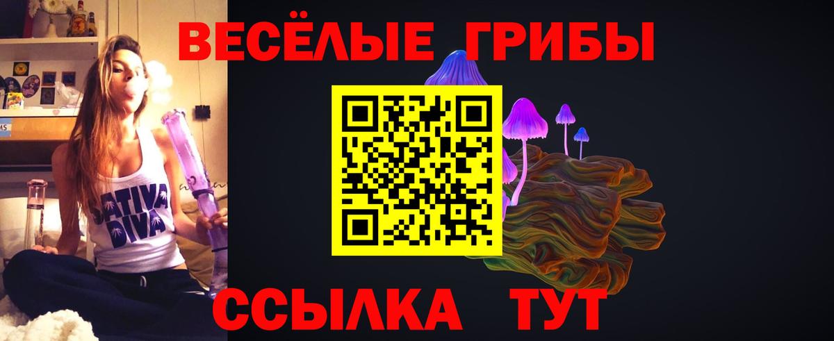 Галлюциногенные грибы Psilocybe  Вход с VPN  Галлюциногенные грибы GOLDEN TEACHER  Подольск 